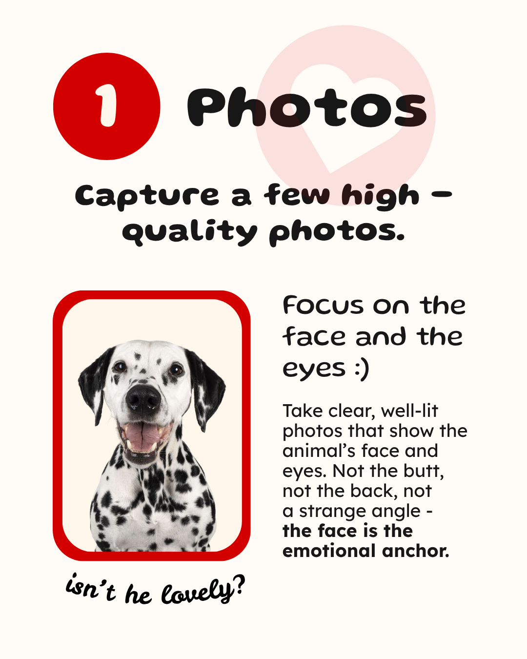 Adoption advertising guide Instagram post, step 1 - Photos